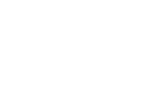 AUDIENCE CHOICE - Freedom Festival International - MADE IN CHINATOWN (1)