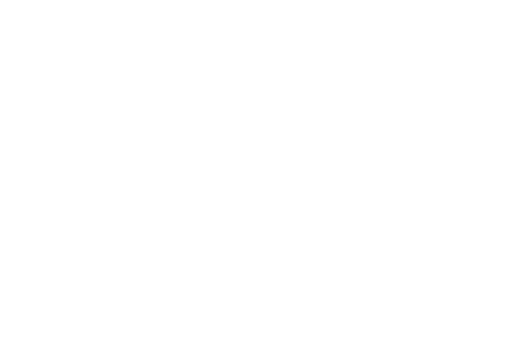 OFFICIAL SELECTION - Philadelphia Independent Film Festival - Made In Chinatown (1)